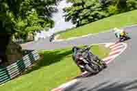 cadwell-no-limits-trackday;cadwell-park;cadwell-park-photographs;cadwell-trackday-photographs;enduro-digital-images;event-digital-images;eventdigitalimages;no-limits-trackdays;peter-wileman-photography;racing-digital-images;trackday-digital-images;trackday-photos